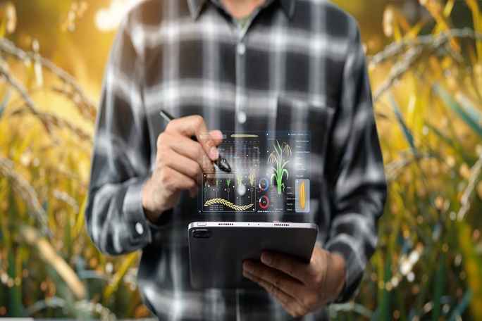 Quality Aspects In Crop Production & Management